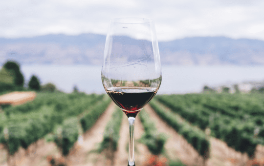 12 a-wine-for-repindia