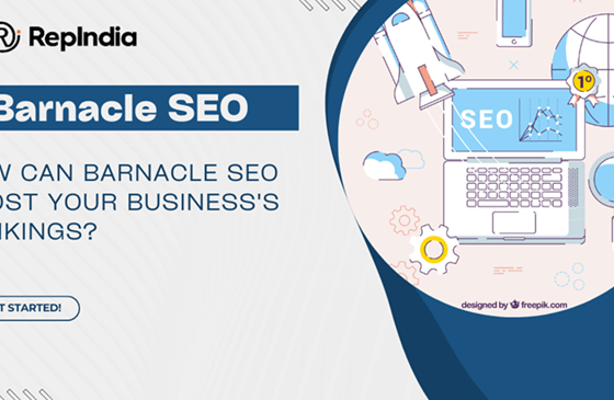 How Can Barnacle SEO Boost Your Business's Rankings