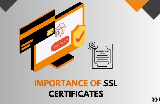 The Importance of SSL Certificates for Websites in 2025